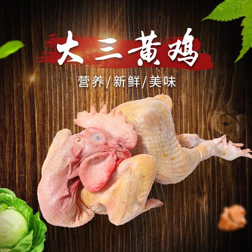 乐山哪里有三大黄鸡销售